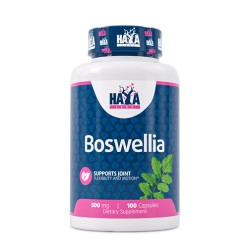 Boswellia Extract 500 mg - 100 Caps