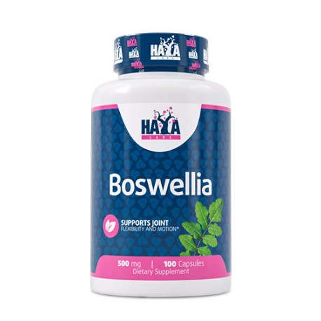 Boswellia Extract 500 mg - 100 Caps