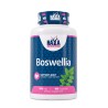 Boswellia Extract 500 mg - 100 Caps