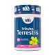 Tribulus Terrestris 1000 mg - 200 Tabs