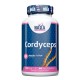 Cordyceps 500 mg - 60 Vcaps