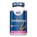 Cordyceps 500 mg - 60 Vcaps