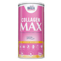 Colageno Max 390 Grms Albaricoque