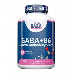 GABA + B-6 - 500mg. - 100 VCaps.