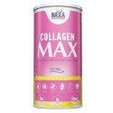 Colageno Max 390 Grms Piña