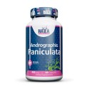 Andrographis Paniculata 400 mg 60 Caps
