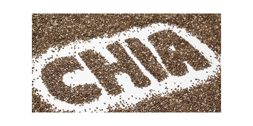 The Power of the Seeds. PART 1 - The Magic of the Chia Seeds